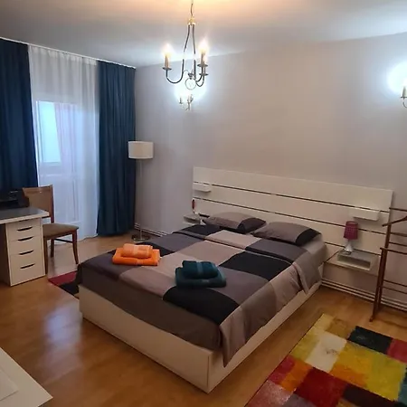 David - 2 Dormitoare & 1 Living Homestay *