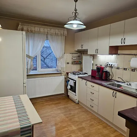 David - 2 Dormitoare & 1 Living Homestay