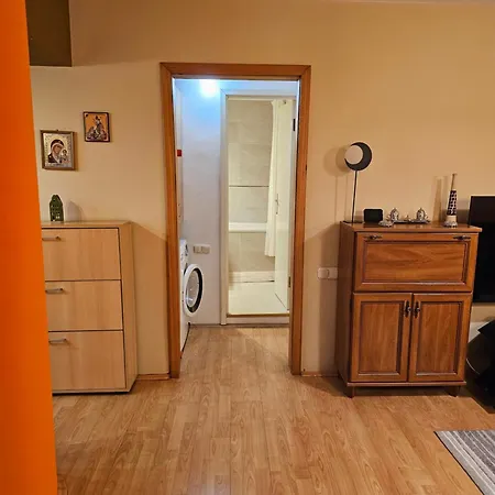 David - 2 Dormitoare & 1 Living Homestay